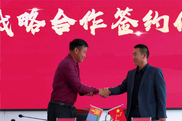 Italian Hay Baler Factory