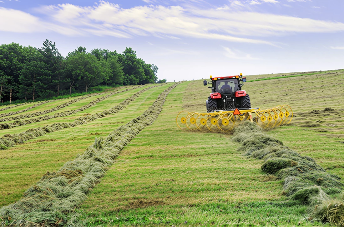 Finger-wheel hay rake