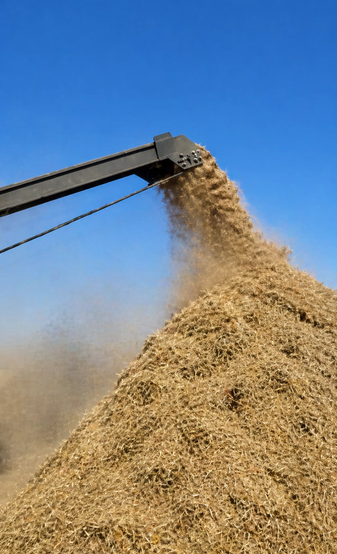 Crusher connected to feed storage system